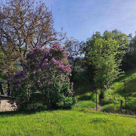 Willa Comme Chez Vous Bayons Zewnętrze zdjęcie