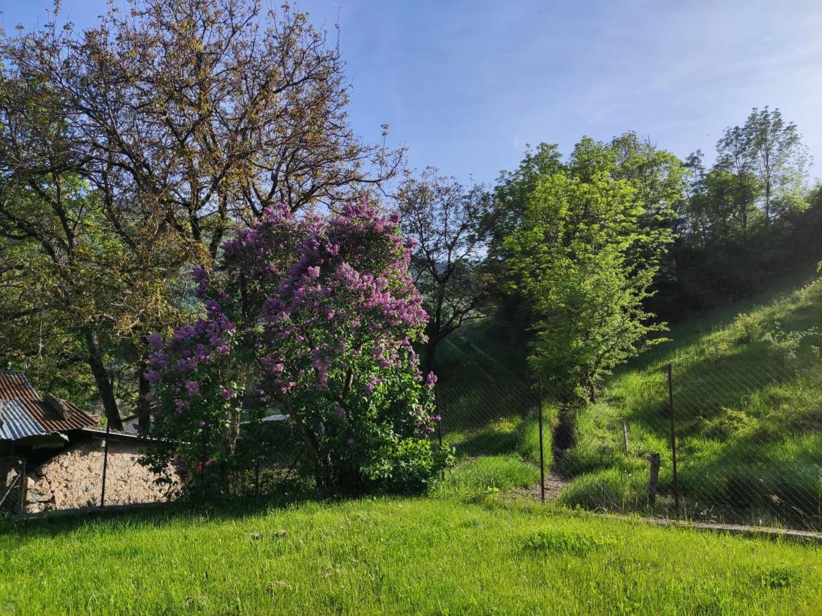 Willa Comme Chez Vous Bayons Zewnętrze zdjęcie